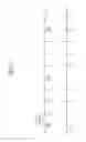 Fig. 08 - Method and apparatus for feedback transmission in wireless communication system