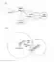 Fig. 02 - Method And System For Mobility Management Of A Terminal On A Radio Relay System