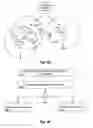 Fig. 07 - Wireless RFID networking systems and methods