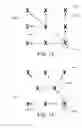 Fig. 22 - Compressing and decompressing multiple, layered, video streams employing multi-directional spatial encoding