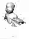 Fig. 03 - Method and apparatus for processing digital image representations of a head shape