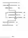 Fig. 05 - Method and apparatus for processing digital image representations of a head shape