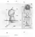 Fig. 09 - Method and apparatus for orienting image representative data