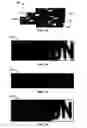 Fig. 09 - Using extracted image text