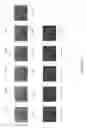 Fig. 22 - Image Contrast Enhancement