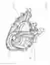 Fig. 02 - Bearing arrangement