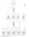Fig. 02 - Mixed Video Compilation