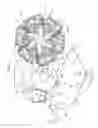 Fig. 03 - Image forming apparatus that controls a transporting velocity of a transporter