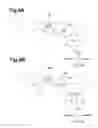 Fig. 09 - Image forming apparatus which guides an ejected recording medium downwards