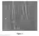 Fig. 02 - Nanolaminated coated cutting tool