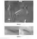 Fig. 02 - Nanolaminated coated cutting tool