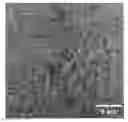 Fig. 01 - Coated cutting tool for metal cutting applications generating high temperatures