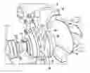 Fig. 01 - Screw-type centrifugal pump with cutting inserts