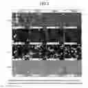 Fig. 08 - Rare earth magnet material and method for producing the same