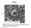 Fig. 09 - Rare earth magnet material and method for producing the same
