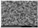 Fig. 01 - Method of producing carbonate using carbon dioxide microbubbles and carbonate thereof