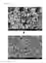 Fig. 06 - Method of producing carbonate using carbon dioxide microbubbles and carbonate thereof
