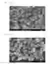 Fig. 16 - Method of producing carbonate using carbon dioxide microbubbles and carbonate thereof