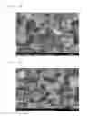 Fig. 17 - Method of producing carbonate using carbon dioxide microbubbles and carbonate thereof