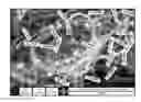 Fig. 01 - Combination catalysts based on iron for the substantial synthesis of multi-walled carbon nanotubes by chemical vapor deposition