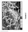 Fig. 07 - Combination catalysts based on iron for the substantial synthesis of multi-walled carbon nanotubes by chemical vapor deposition