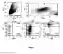 Fig. 02 - METHOD FOR TREATING IMMUNE DISORDERS