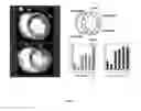 Fig. 08 - Methods for collagen imaging