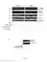 Fig. 03 - Compounds modulators of VEGF activity and uses thereof