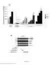 Fig. 04 - Compounds modulators of VEGF activity and uses thereof