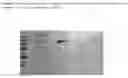 Fig. 04 - COLLAGEN EXTRACTION FROM AQUATIC ANIMALS