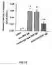 Fig. 14 - Method for inhibiting hyperpigmentation