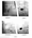 Fig. 03 - Sprayable perfume with an improved tenacity