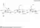 Fig. 08 - SUGAR CHAIN-ADDED AILIM EXTRACELLULAR DOMAIN AND METHOD FOR PRODUCING SAME