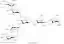 Fig. 33 - SUGAR CHAIN-ADDED AILIM EXTRACELLULAR DOMAIN AND METHOD FOR PRODUCING SAME