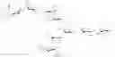 Fig. 37 - SUGAR CHAIN-ADDED AILIM EXTRACELLULAR DOMAIN AND METHOD FOR PRODUCING SAME