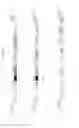 Fig. 03 - Safe lentiviral vectors for targeted delivery of multiple therapeutic molecules