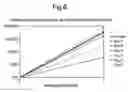 Fig. 07 - Bacteriophage-containing therapeutic agents