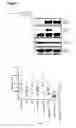 Fig. 09 - Oncolytic viruses and methods for treating neoplastic disorders