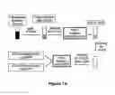 Fig. 02 - METHODS AND COMPOSITIONS FOR LONG TERM HEMATOPOIETIC REPOPULATION