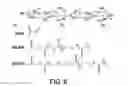 Fig. 07 - Hydrolytically degradable polysaccharide hydrogels