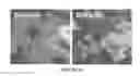 Fig. 09 - OLFACTORY STEM CELLS AND USES THEREOF