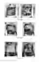 Fig. 06 - Stable enzymatic preparations and methods of use thereof