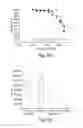 Fig. 05 - Inhibitors of bacterial type III secretion system