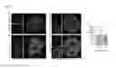Fig. 02 - COMPOSITIONS AND METHODS FOR INHIBITING VIRAL AND/OR BACTERIAL INFECTIONS