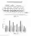 Fig. 02 - Nucleic acid compositions and the encoding proteins