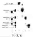 Fig. 08 - Nucleic acid compositions and the encoding proteins