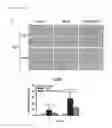 Fig. 09 - Treatment for nephritis
