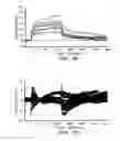 Fig. 19 - Peptides for binding fibrinogen and fibrin