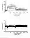 Fig. 24 - Peptides for binding fibrinogen and fibrin