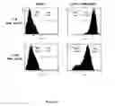 Fig. 07 - Nucleic Acid Encoding TGEV and PRRSV Sequences for Improved Expression of PRRSV Sequences